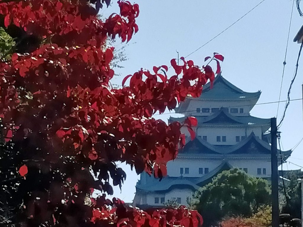 名城公園の紅葉と名古屋城